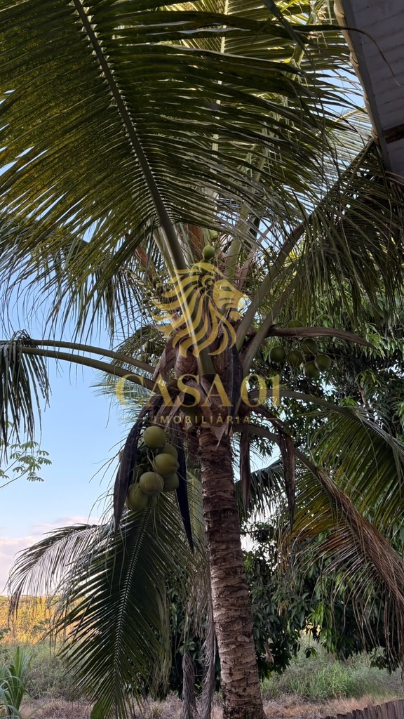 commercial-/-agricultural-area-rural-de-cacoal-cacoal-ro