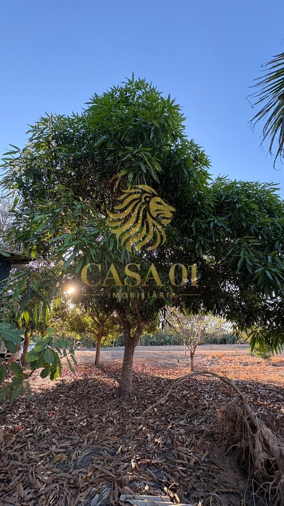 commercial-/-agricultural-area-rural-de-cacoal-cacoal-ro