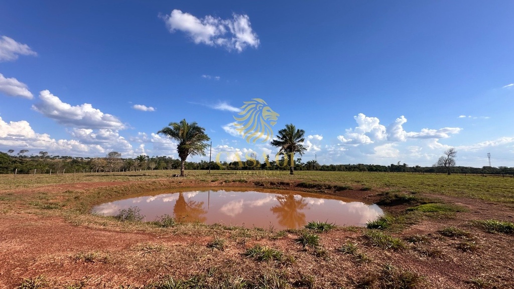 commercial-/-agricultural-area-rural-cacoal-ro