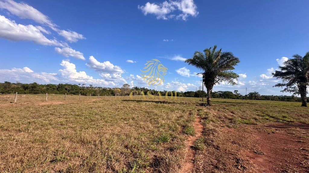 commercial-/-agricultural-area-rural-cacoal-ro