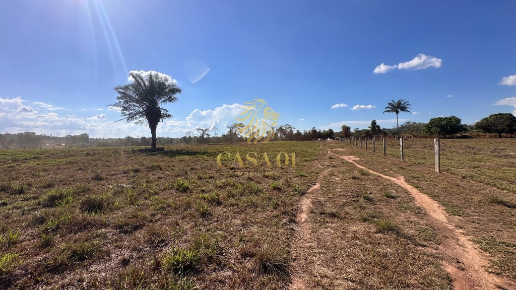 commercial-/-agricultural-area-rural-cacoal-ro