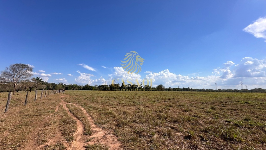 commercial-/-agricultural-area-rural-cacoal-ro