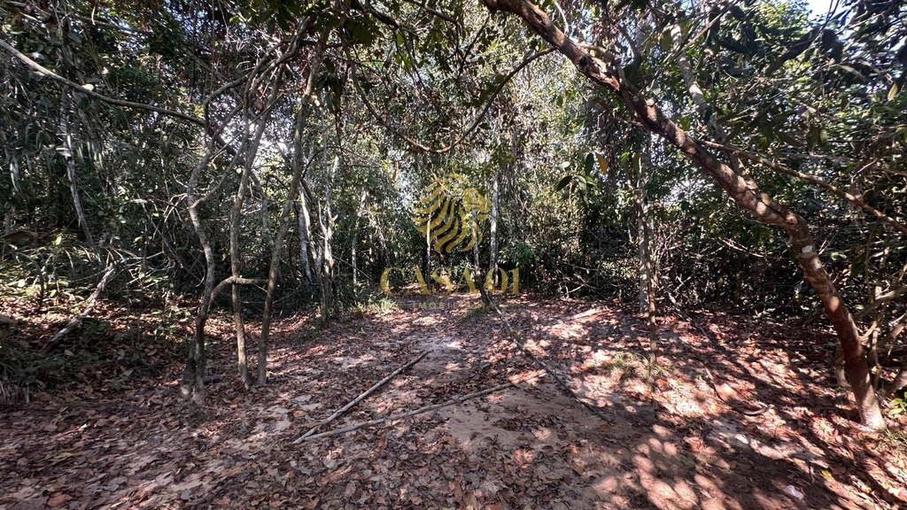 commercial-/-agricultural-area-rural-cacoal-ro