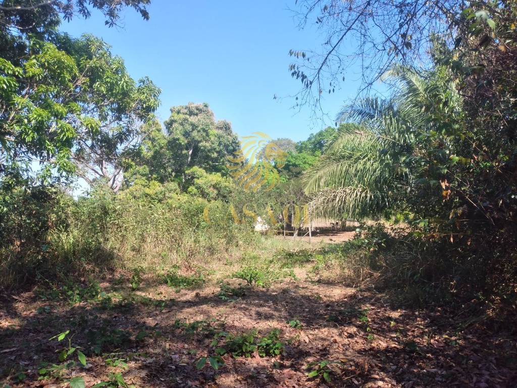 residential-/-farm-ranch-2-quartos-linha-03-cacoal-ro
