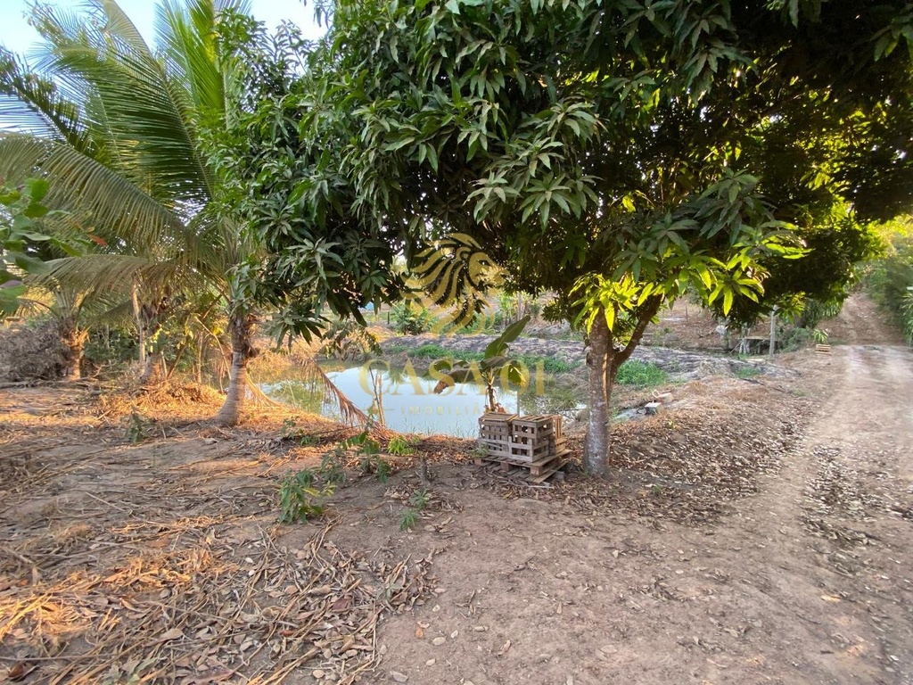 residential-/-farm-ranch-linha-6-cacoal-ro