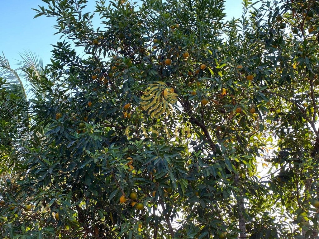 residential-/-farm-ranch-linha-6-cacoal-ro