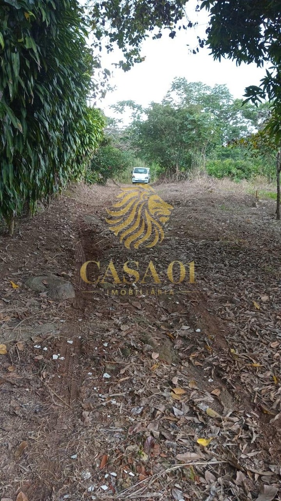 residential-/-farm-ranch-linha-6-cacoal-ro