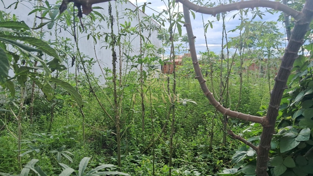 residential-/-land-lot-buritis-cacoal-ro
