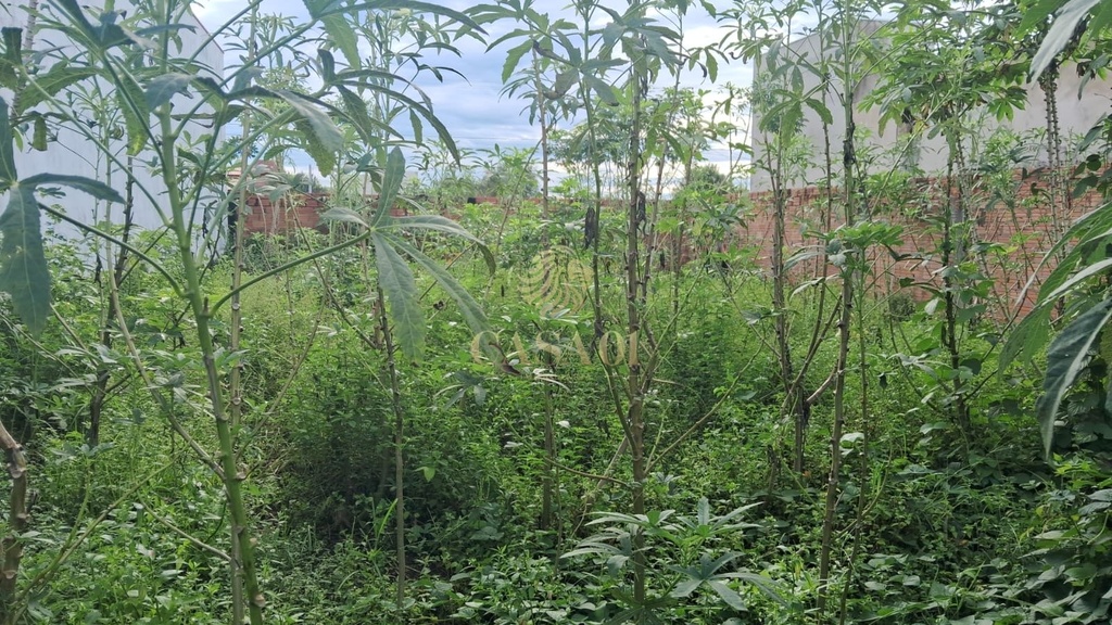 residential-/-land-lot-buritis-cacoal-ro