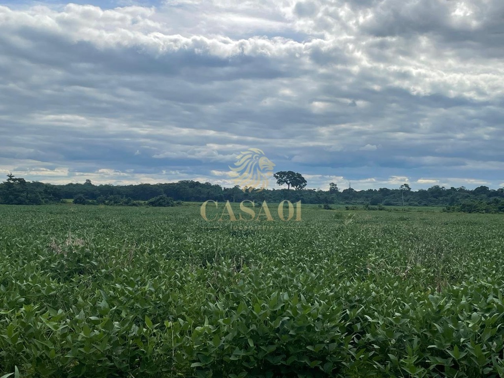 commercial-/-agricultural-area-rural-seringueiras-ro