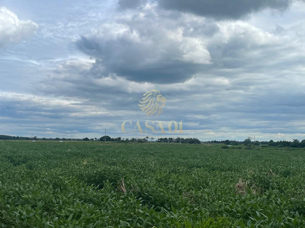 commercial-/-agricultural-area-rural-seringueiras-ro
