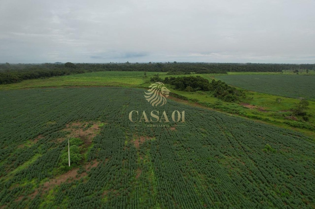 commercial-/-agricultural-area-rural-seringueiras-ro