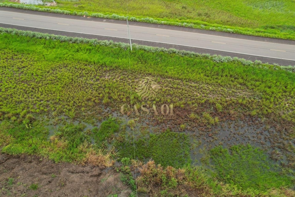 commercial-/-agricultural-area-rural-seringueiras-ro