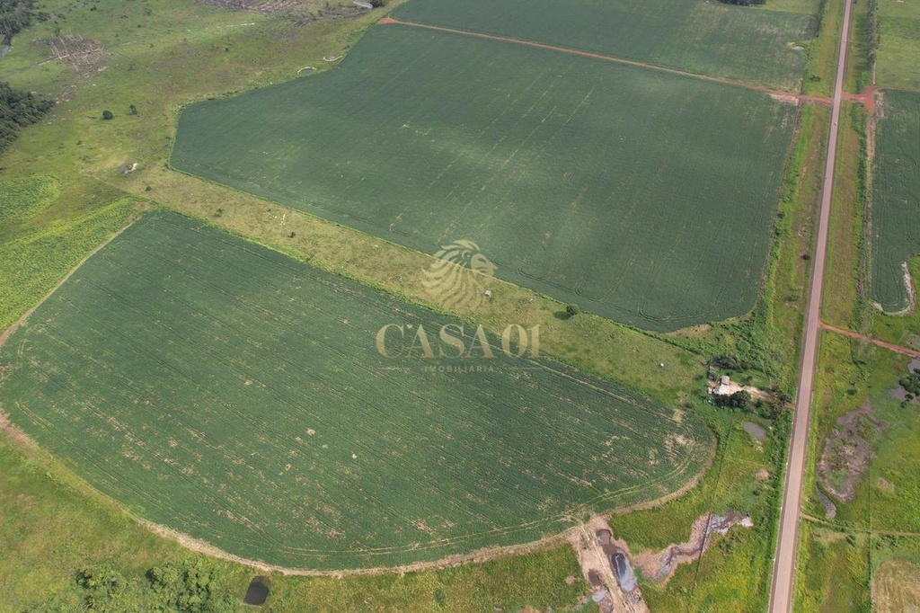 commercial-/-agricultural-area-rural-seringueiras-ro