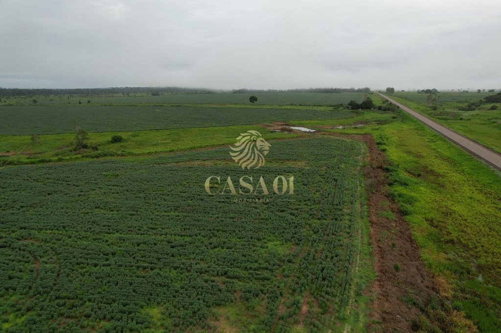commercial-/-agricultural-area-rural-seringueiras-ro
