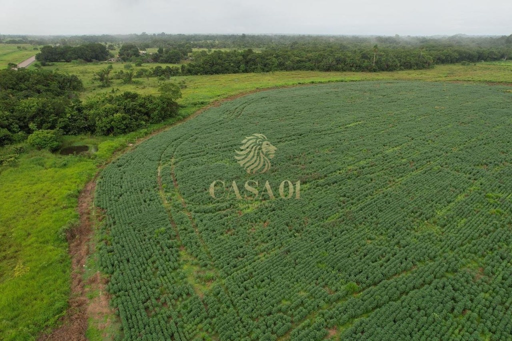 commercial-/-agricultural-area-rural-seringueiras-ro