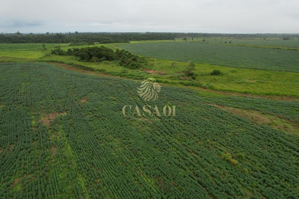 commercial-/-agricultural-area-rural-seringueiras-ro