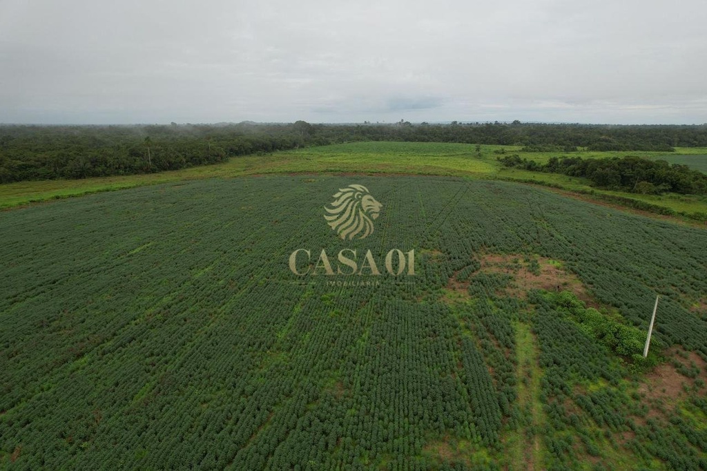 commercial-/-agricultural-area-rural-seringueiras-ro