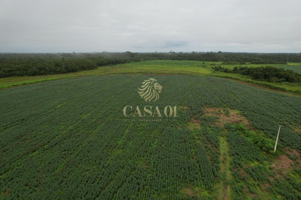 commercial-/-agricultural-area-rural-seringueiras-ro