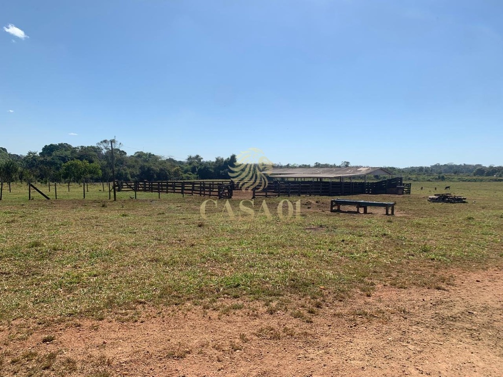 commercial-/-agricultural-area-rural-cacoal-ro