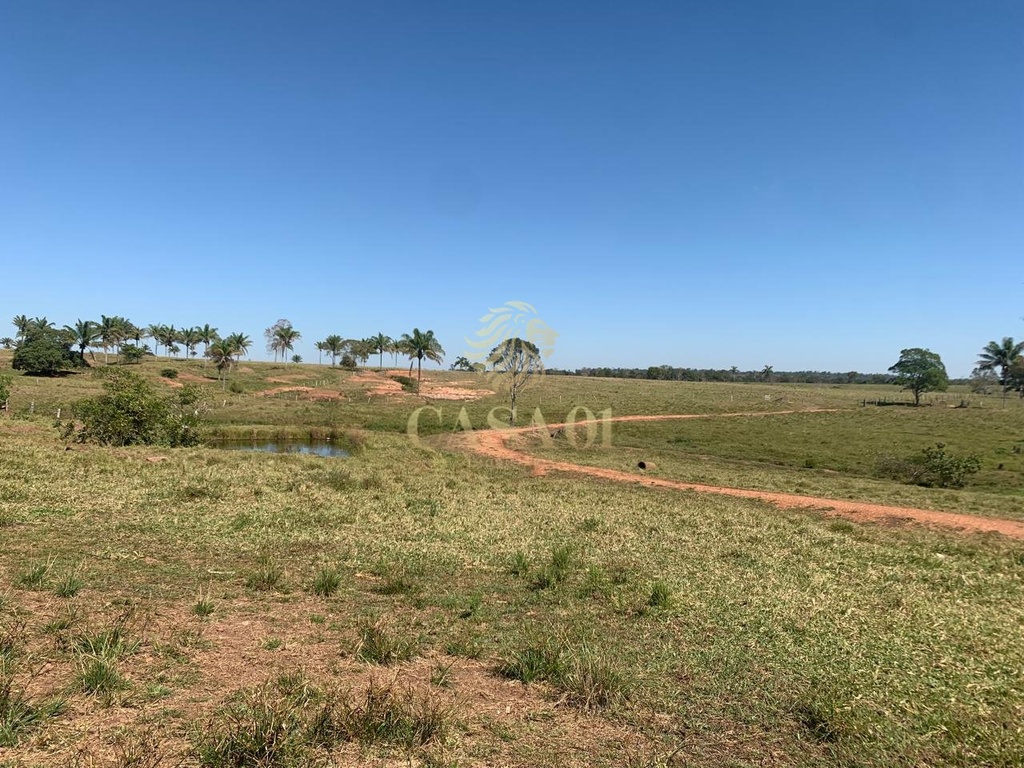 commercial-/-agricultural-area-rural-cacoal-ro