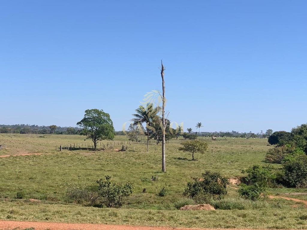 commercial-/-agricultural-area-rural-cacoal-ro
