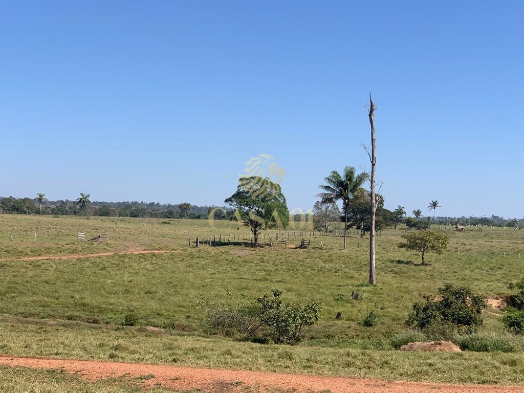 commercial-/-agricultural-area-rural-cacoal-ro