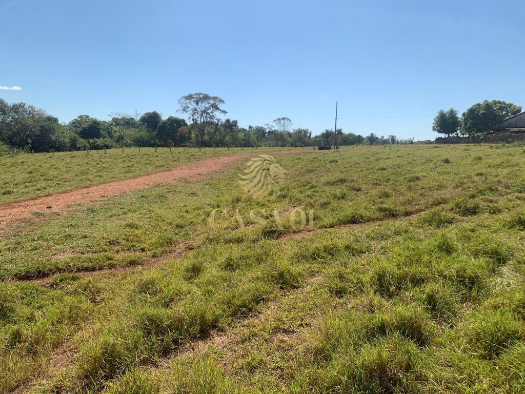 commercial-/-agricultural-area-rural-cacoal-ro
