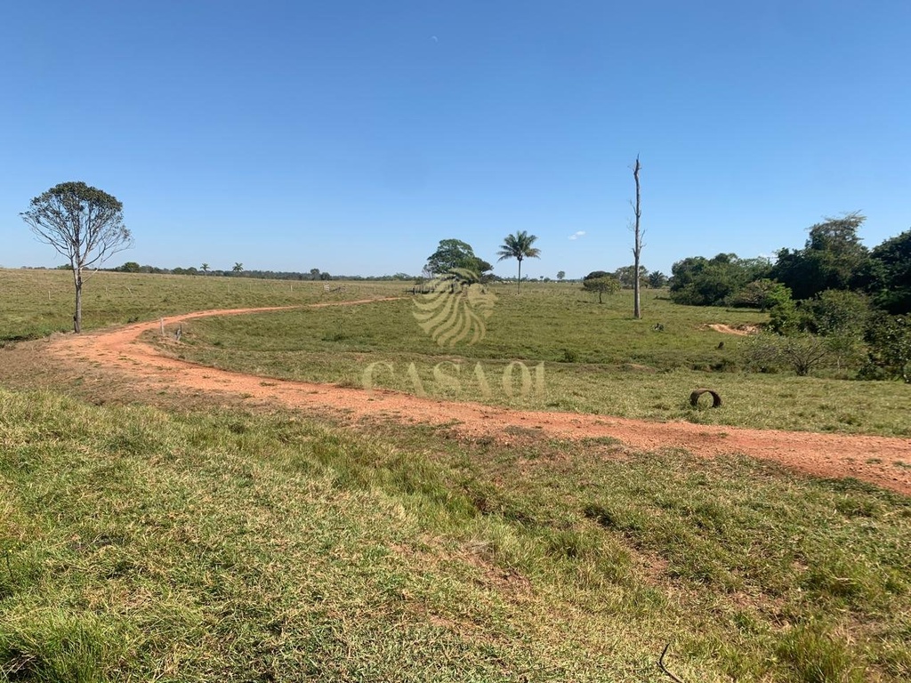 commercial-/-agricultural-area-rural-cacoal-ro