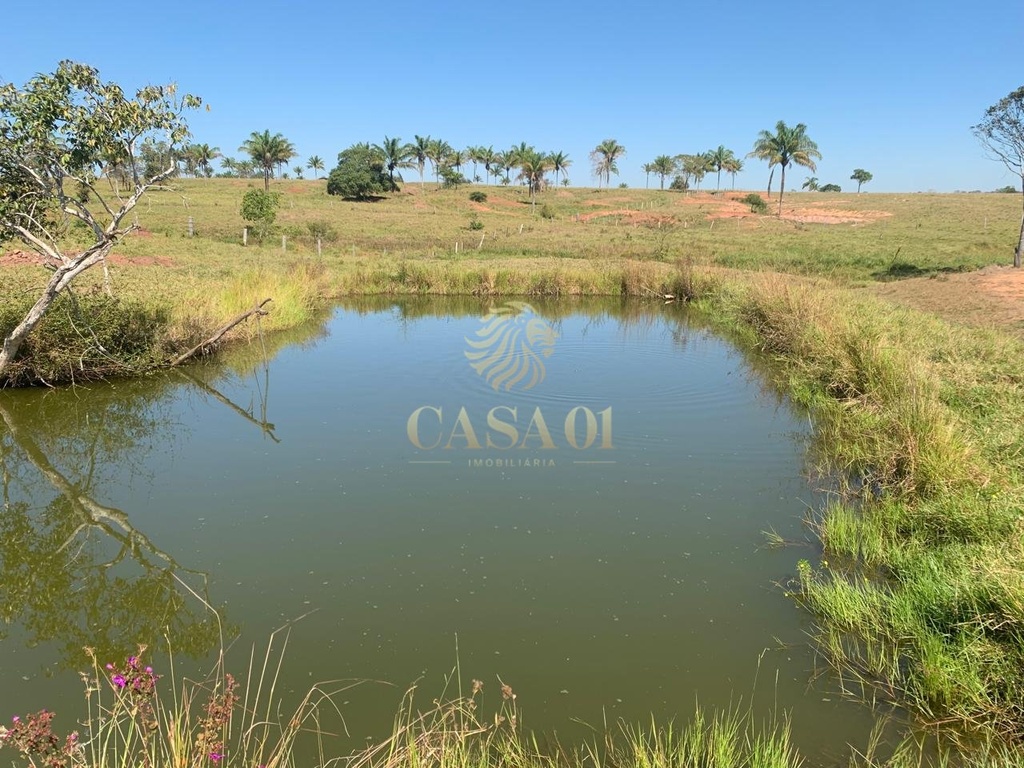 commercial-/-agricultural-area-rural-cacoal-ro