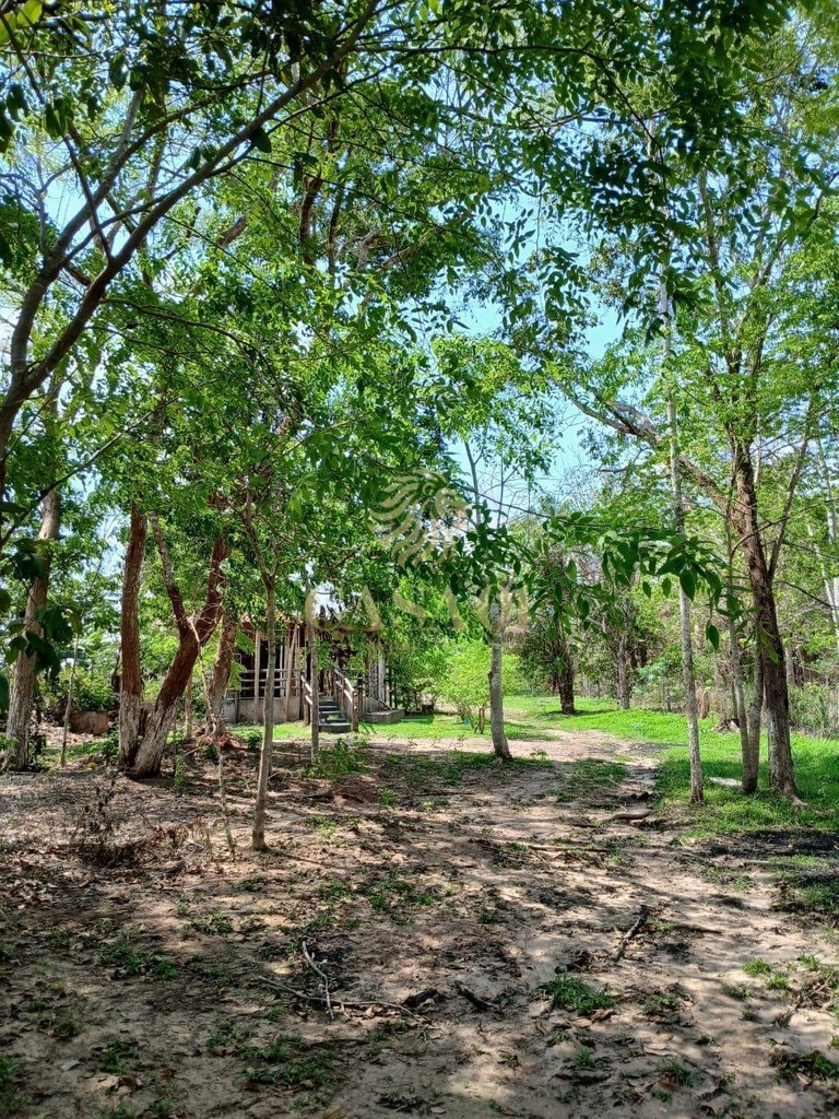 commercial-/-agricultural-2-quartos-4400m2-area-rural-cacoal-ro
