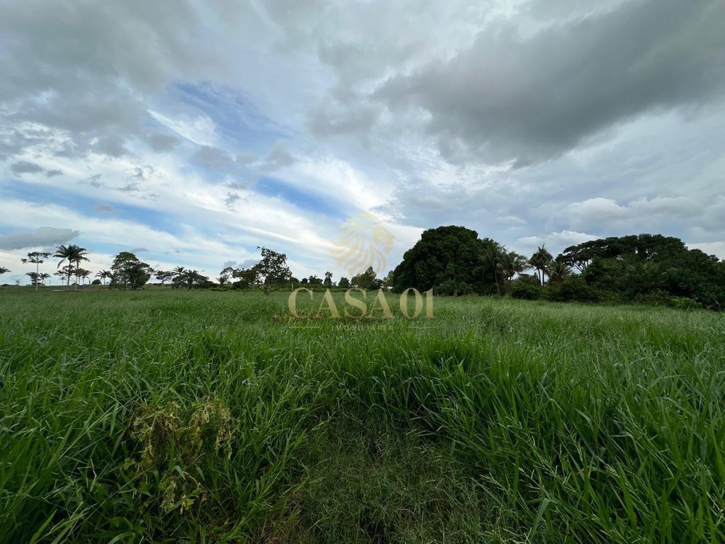 commercial-/-agricultural-169400m2-area-rural-cacoal-ro