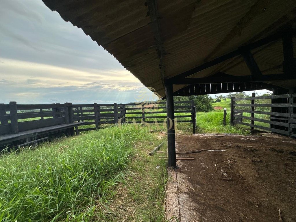 commercial-/-agricultural-169400m2-area-rural-cacoal-ro