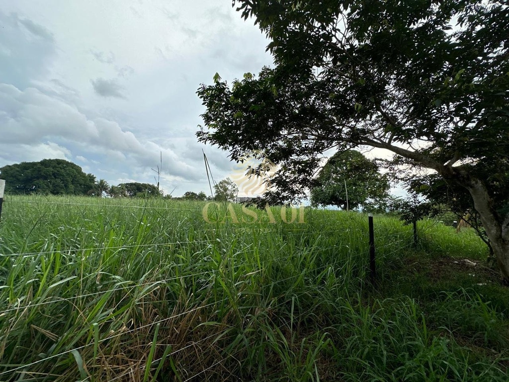 commercial-/-agricultural-169400m2-area-rural-cacoal-ro