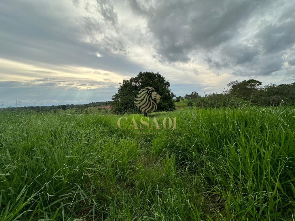 commercial-/-agricultural-169400m2-area-rural-cacoal-ro