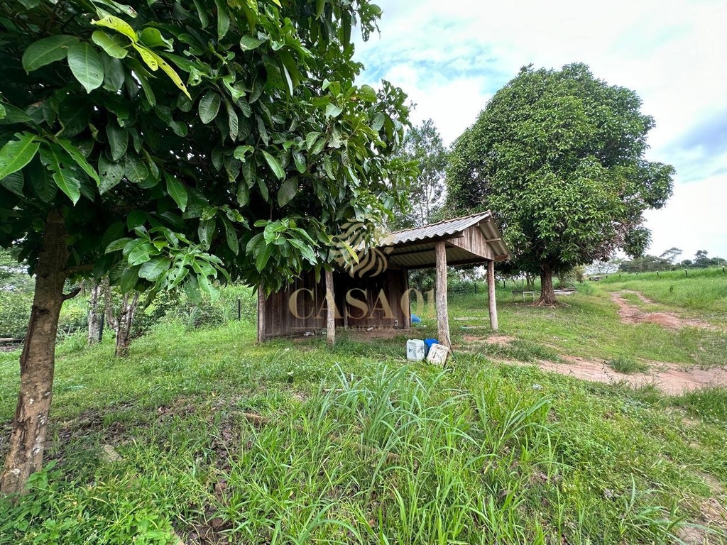 commercial-/-agricultural-169400m2-area-rural-cacoal-ro