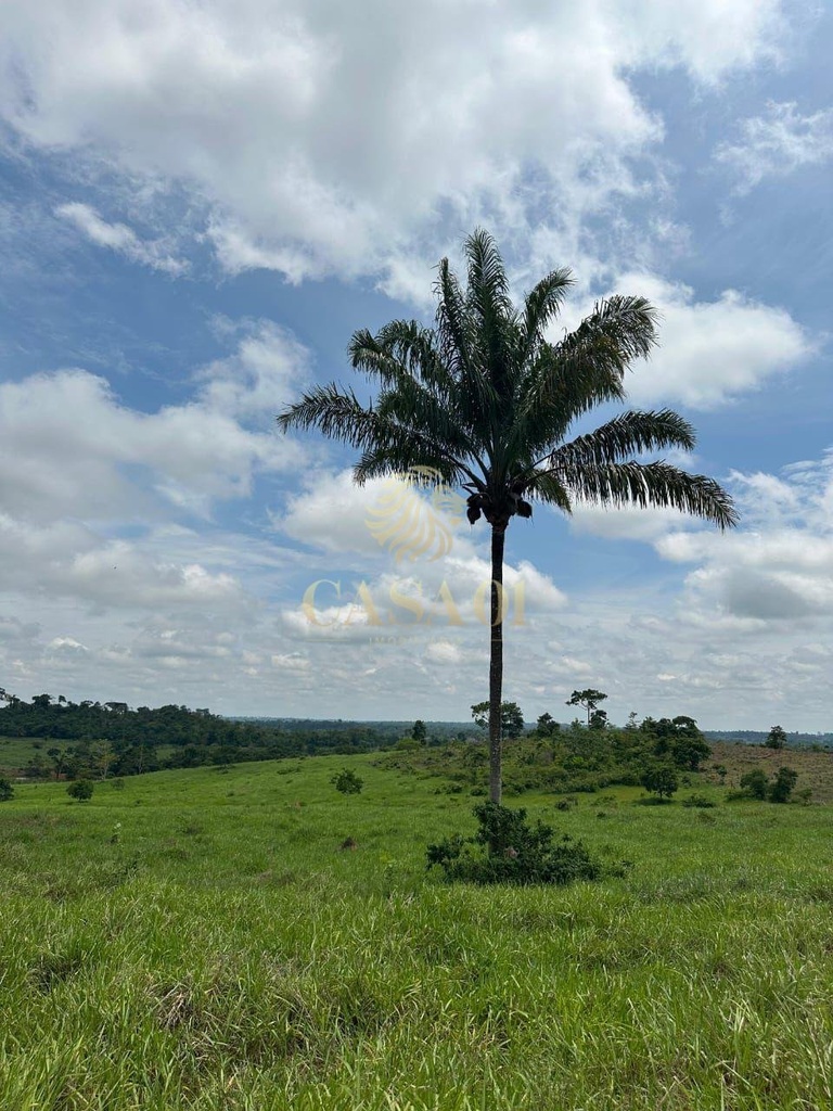 commercial-/-agricultural-169400m2-area-rural-cacoal-ro