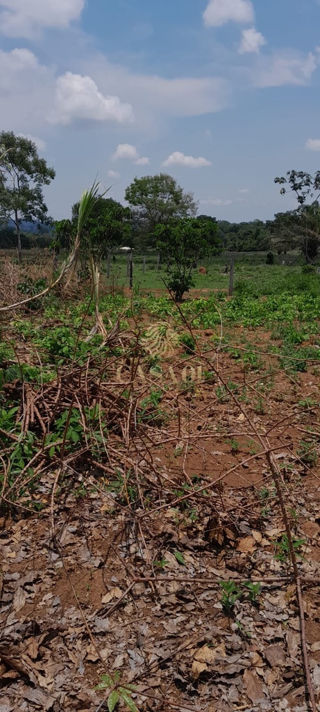 commercial-/-agricultural-5000m2-area-rural-cacoal-ro