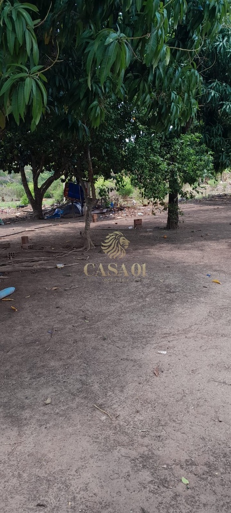 commercial-/-agricultural-5000m2-area-rural-cacoal-ro
