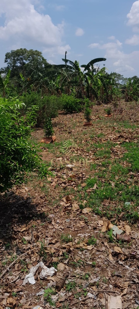 commercial-/-agricultural-5000m2-area-rural-cacoal-ro
