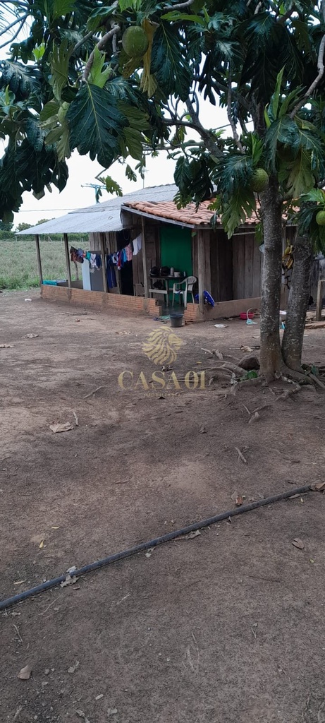 commercial-/-agricultural-5000m2-area-rural-cacoal-ro