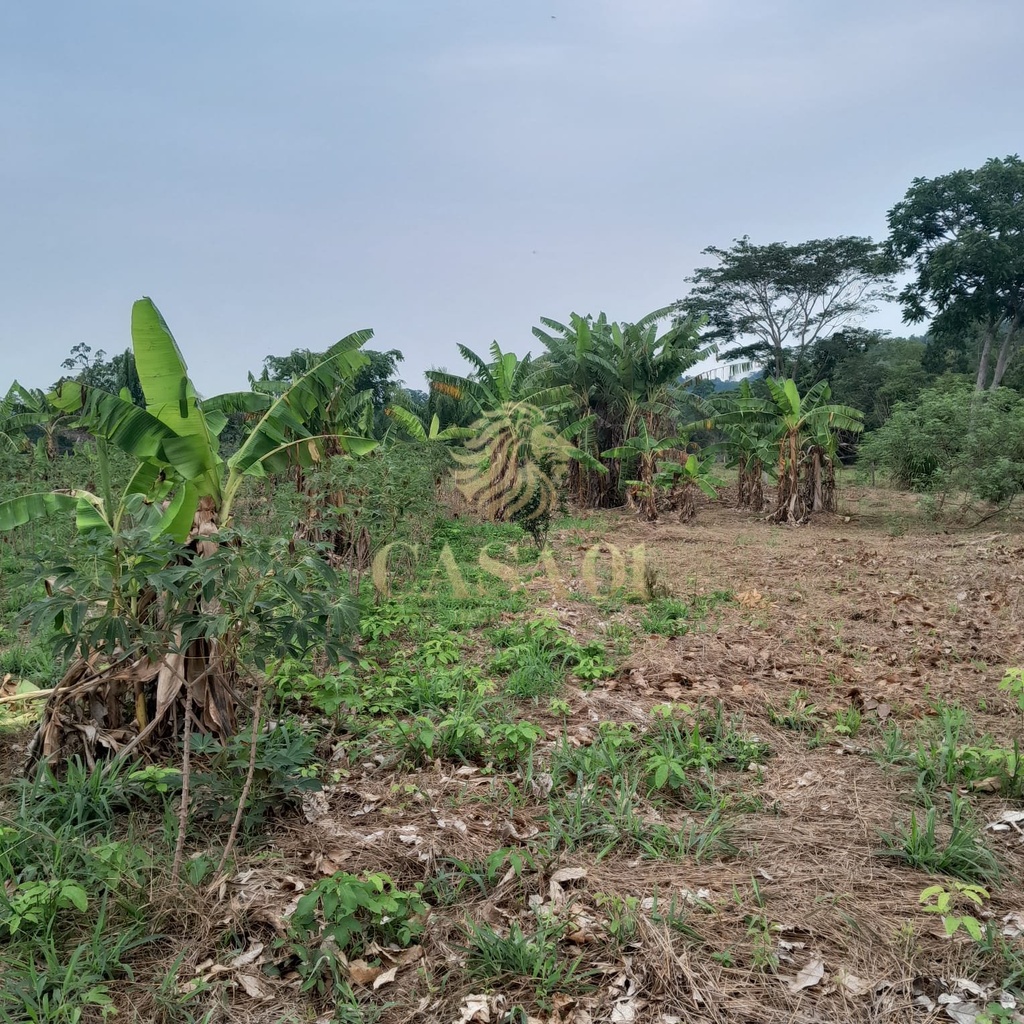 commercial-/-agricultural-5000m2-area-rural-cacoal-ro