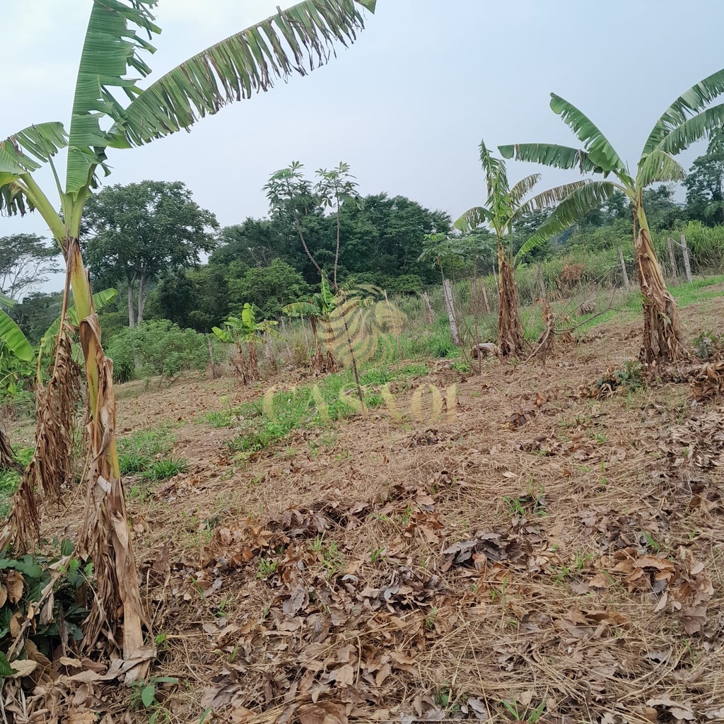 commercial-/-agricultural-5000m2-area-rural-cacoal-ro