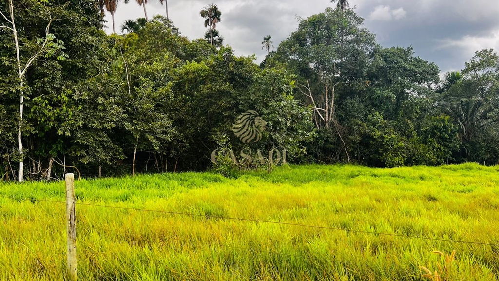 commercial-/-agricultural-88m2-area-rural-cacoal-ro
