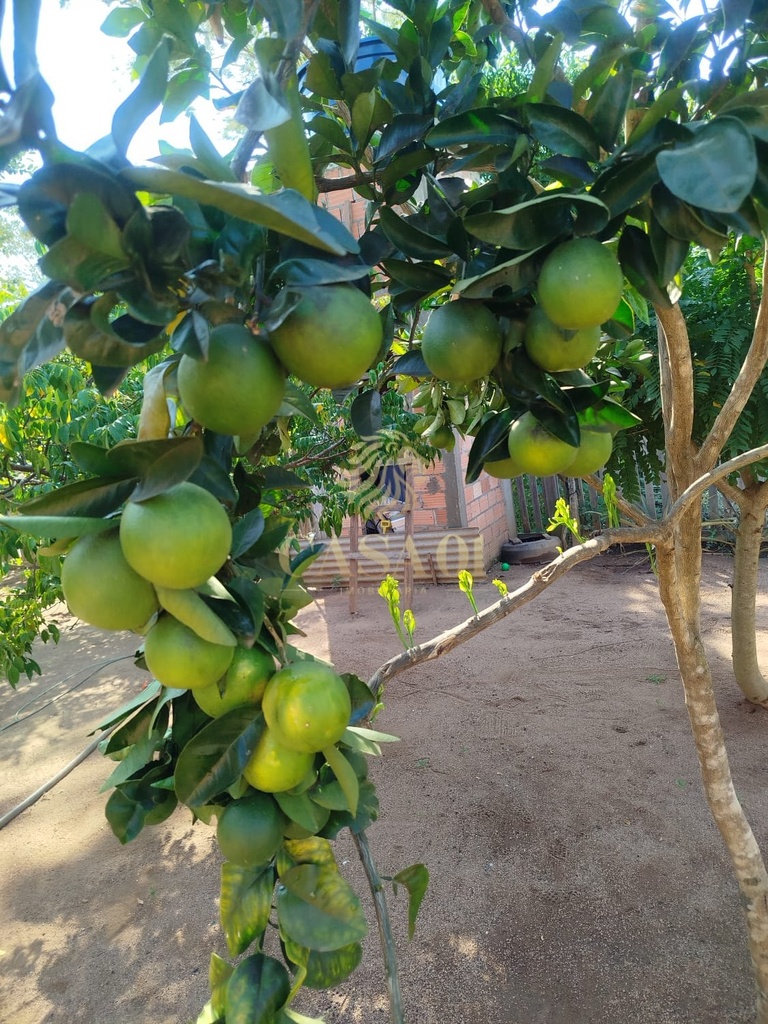 commercial-/-agricultural-2-quartos-90m2-area-rural-cacoal-ro