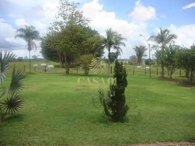 commercial-/-agricultural-6-quartos-area-rural-ji-parana-ro