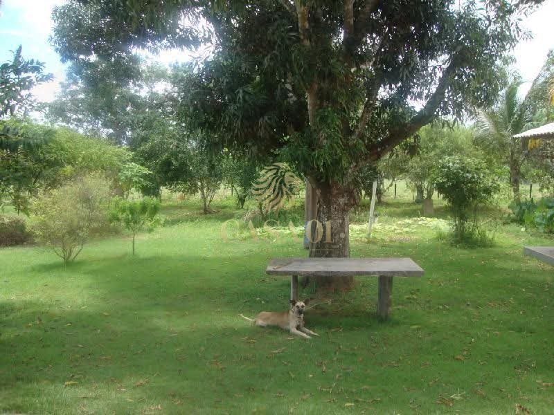 commercial-/-agricultural-6-quartos-area-rural-ji-parana-ro