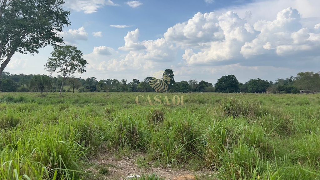 commercial-/-agricultural-area-rural-cacoal-ro