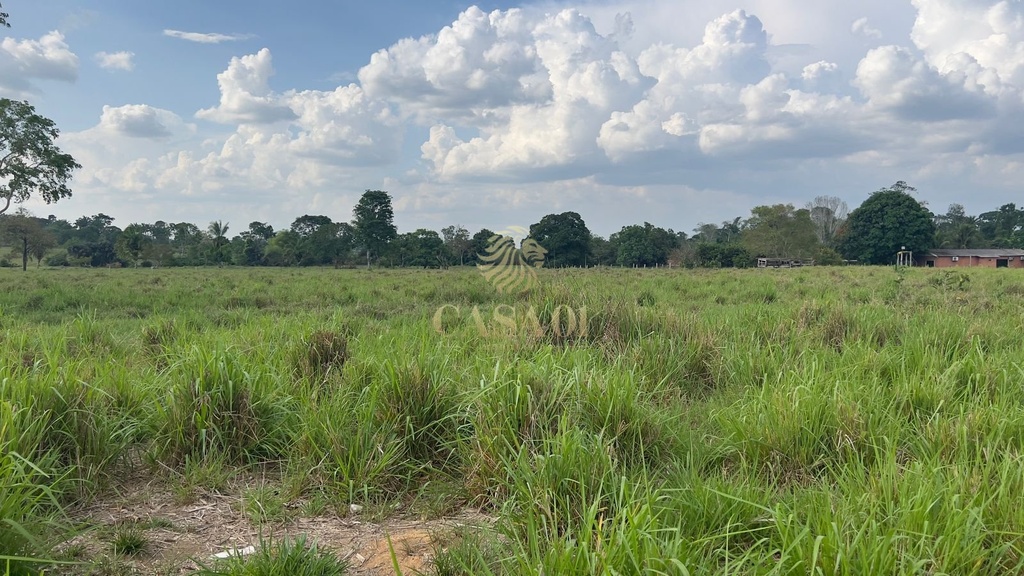 commercial-/-agricultural-area-rural-cacoal-ro