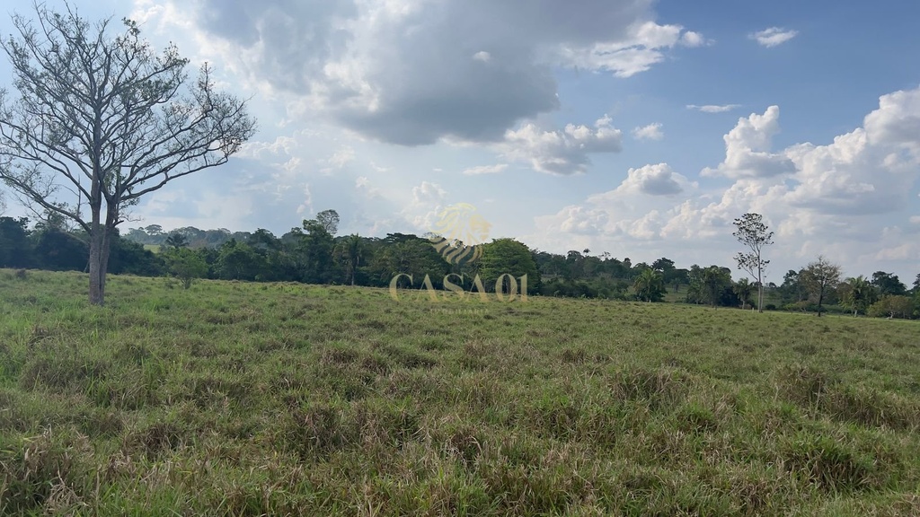 commercial-/-agricultural-area-rural-cacoal-ro